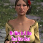 My Wife Is A Hoe That Gets Used By Everybody Free Download (Final)